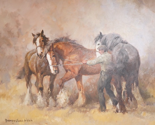 Rosemary Sarah Welch (b.1946), Study of three shire horses, signed, oil on canvas, 59 x 75cm